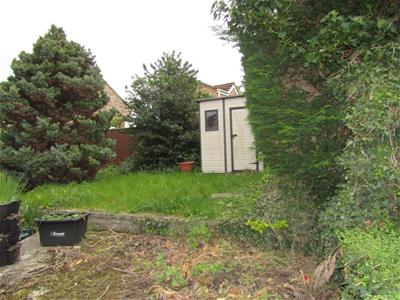 Picture 13